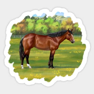 Brown Bay Quarter Horse in Pasture Sticker